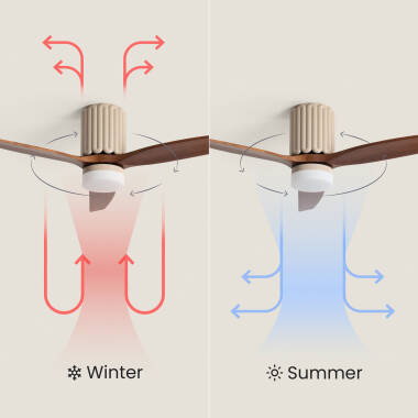Image of Asteri Silent Ceiling Fan with DC Motor 