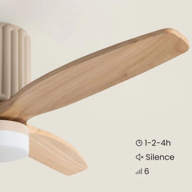Bild von Deckenventilator mit Licht Lautlos DC Asteri