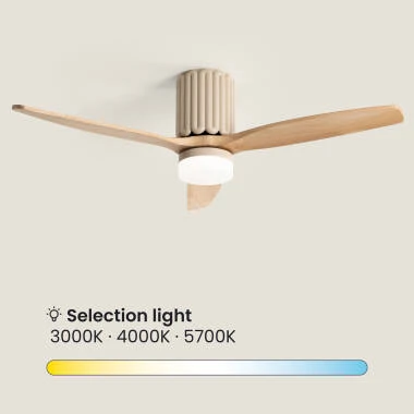 Bild von Deckenventilator mit Licht Lautlos DC Asteri