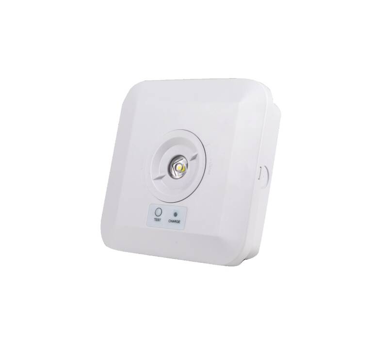 Immagine di Luce di Emergenza a LED da 2 W, Quadrata da Superficie con Lente, per Aree Aperte e Corridoi, con 3 Ore di Autonomia