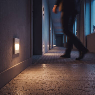 Afbeelding van LED Wandlamp 1,5 W Inbouw met PIR en Schemering Sensor