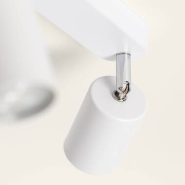 Image de Plafonnier Orientable Métal 2 Spot Albus Nero