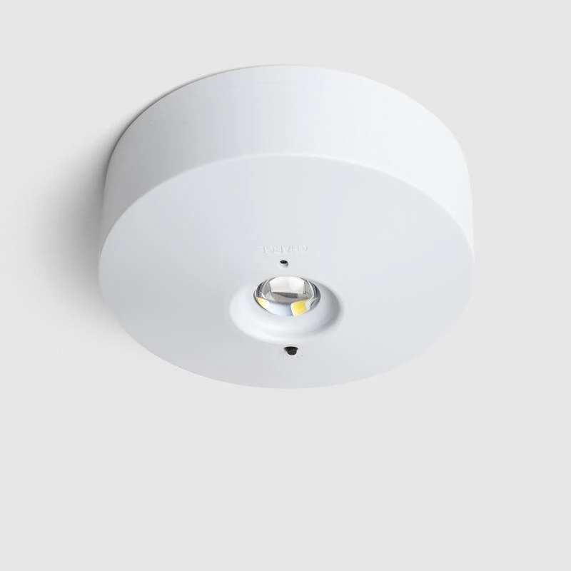 Afbeelding van Noodverlichting LED voor wandmontage 120 lm permanent/tijdelijk