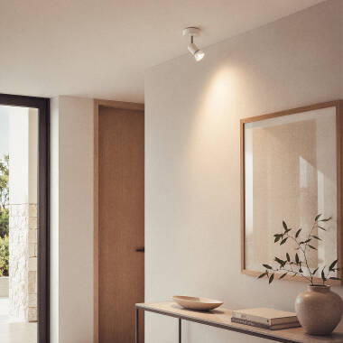 Afbeelding van Plafondlamp Aluminium Oasis met Spotlight Wit Verstelbaar