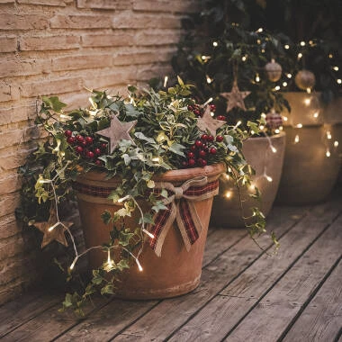 Image of Lilac LED String Light
