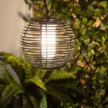 Modern Pendant Lamps