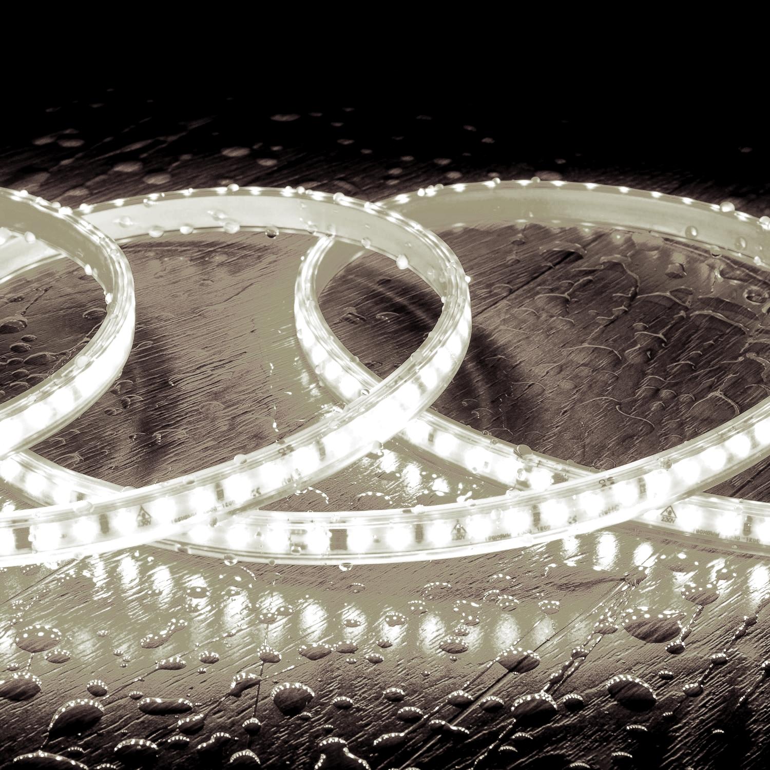 Taśma Led Ściemnialna 220V SMD Samoregulująca 120 LED/m ROLKA 50m 10W/m 1000lm/m Szerokość 12mm Cięcie 10cm IP65 - widok 3