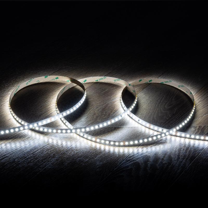 Immagine di Bobina Striscia LED 24V SMD 120 LED/m Lunga Distanza 10W/m 1250lm/m Larga 10mm IP20 Taglio 5cm