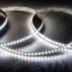 Immagine di Bobina Striscia LED 24V SMD 120 LED/m Lunga Distanza 10W/m 1250lm/m Larga 10mm IP20 Taglio 5cm