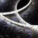 Afbeelding van LED strip 12V DC SMD2835 120LED/m 5m IP65 Breedte 8mm In te korten om de 2.5cm