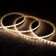 Immagine di Striscia LED 12V DC SMD2835 60LED/m 5m IP65 Larghezza 8mm Taglio ogni 5cm 