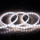 Image de Ruban LED 220V SMD2835 60LED/m Blanc Froid IP65 Largeur 12mm Coupe 20cm
