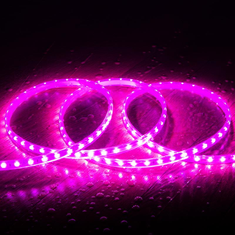 Immagine di Striscia LED 220V SMD2835 60LED/m Rosa IP65 Larghezza 12mm Taglio 100cm 