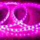 Immagine di Striscia LED 220V SMD2835 60LED/m Rosa IP65 Larghezza 12mm Taglio 100cm 