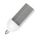 Image de Ampoule LED E27 40W Éclairage Public IP64