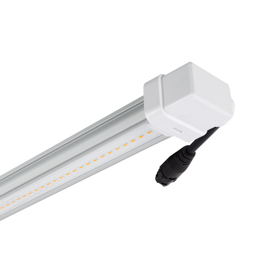 LED Buis T8 60cm kweek Batten Grow 10W 