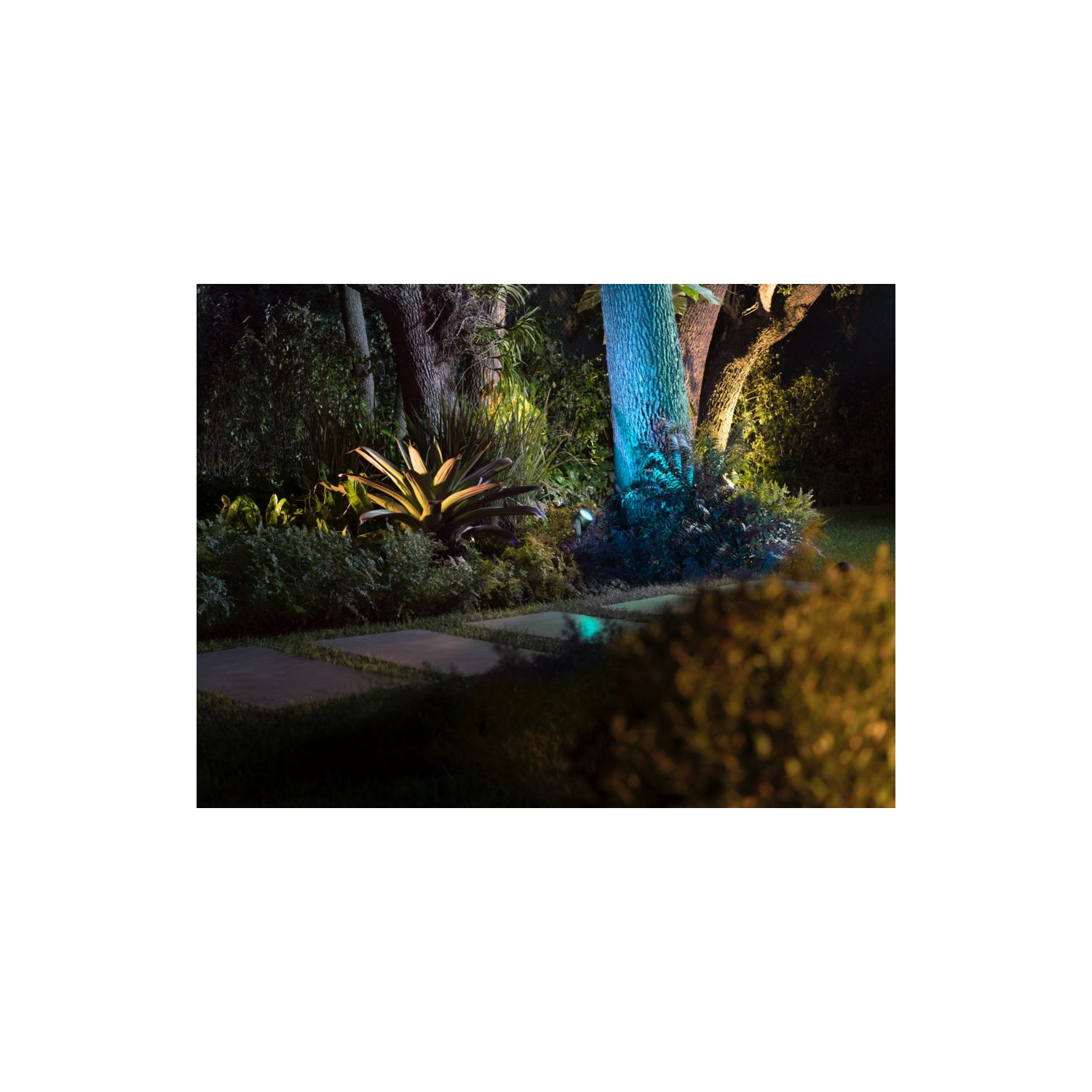 chocola meesterwerk Zich verzetten tegen Spotlight PHILIPS Hue Lily XL White Color 24VDC 8W IP65 LED met spike - Ledkia chocola meesterwerk Zich verzetten tegen Spotlight PHILIPS Hue Lily XL White Color 24VDC 8W IP65 LED met spike - Ledkia