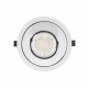 Foco Downlight LED 25W Direccionable Circular Blanco Corte Ø 140 mm LIFUD