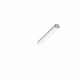 Pantalla Estanca LED 18W 600mm IP66 PHILIPS Ledinaire WT060C