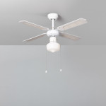 Ceiling Fans