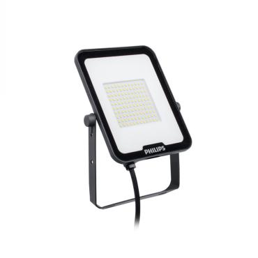 Schijnwerper PHILIPS Ledinaire Mini LED 50W IP65 BVP164 G3 -Verschillende opties