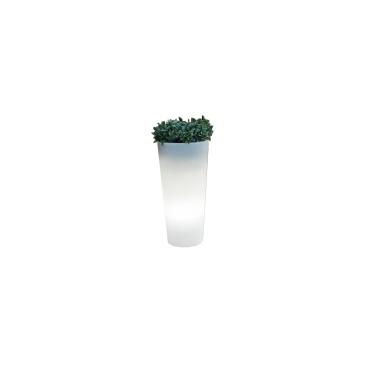 Plantenbak Ficus 60 Cable Outdoor -