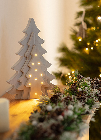 Christmas Trees with Lights