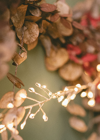 Christmas Lights Garlands