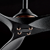 Ceiling Fans