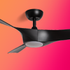 Ceiling Fans