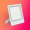 LED Flood Lights