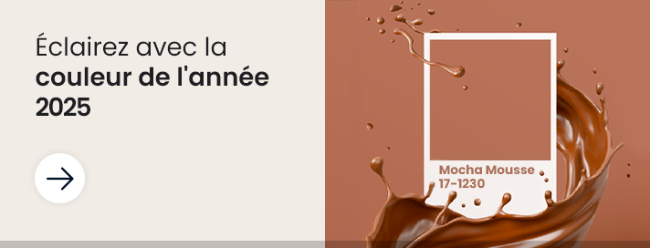 Couleur de l'année 2025