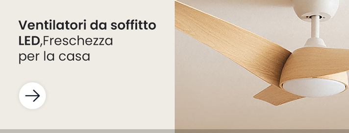 Ventilatori da Soffitto