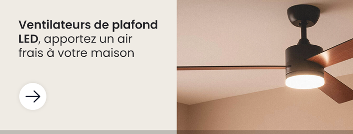 Ventilateurs de Plafond