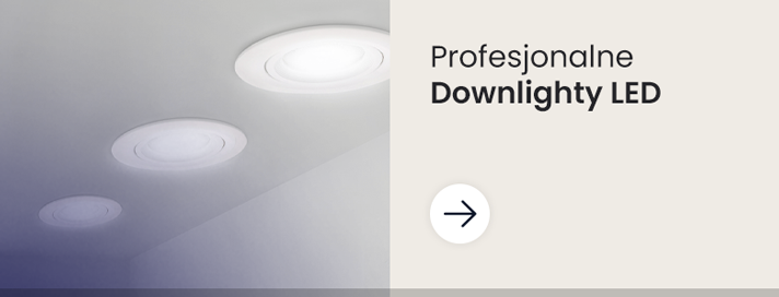 Downlight LED