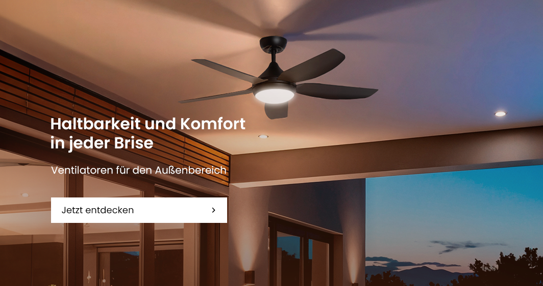 Deckenventilator Aussen