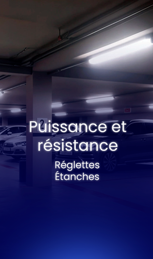 VOIR PLUS