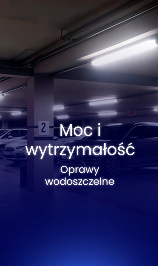 ZOBACZ WIĘCEJ