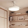 Ventilateurs de Plafond