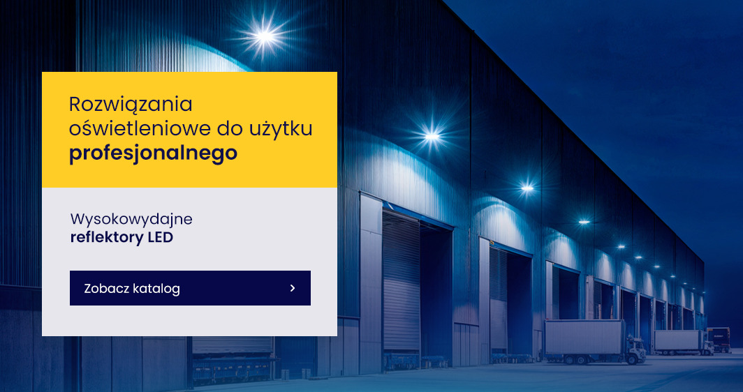 Naświetlacze LED Zewnętrzne