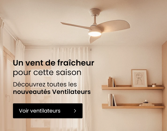Ventilateurs de Plafond