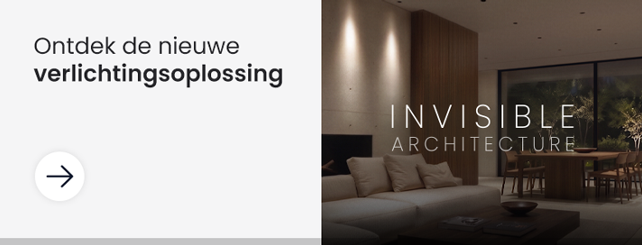 Invisible Architecture