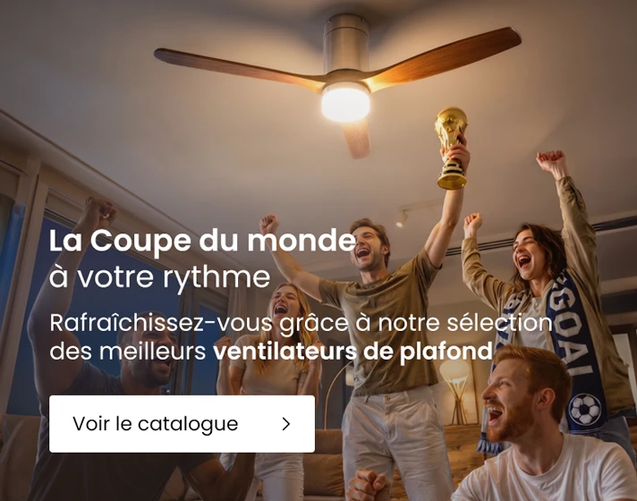Ventilateurs de Plafond