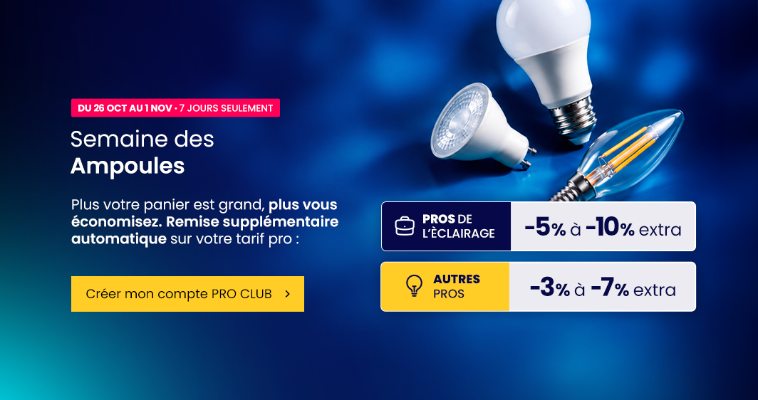 Ampoules LED