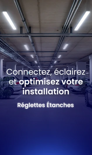 VOIR PLUS