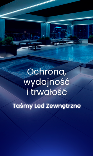 ZOBACZ WIĘCEJ