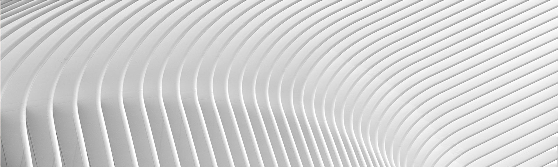 Novelties Decoration: Discover new trends