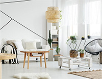 Novelties Decoration