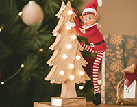 Weihnachtsbäume