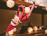 Weihnachtskränze